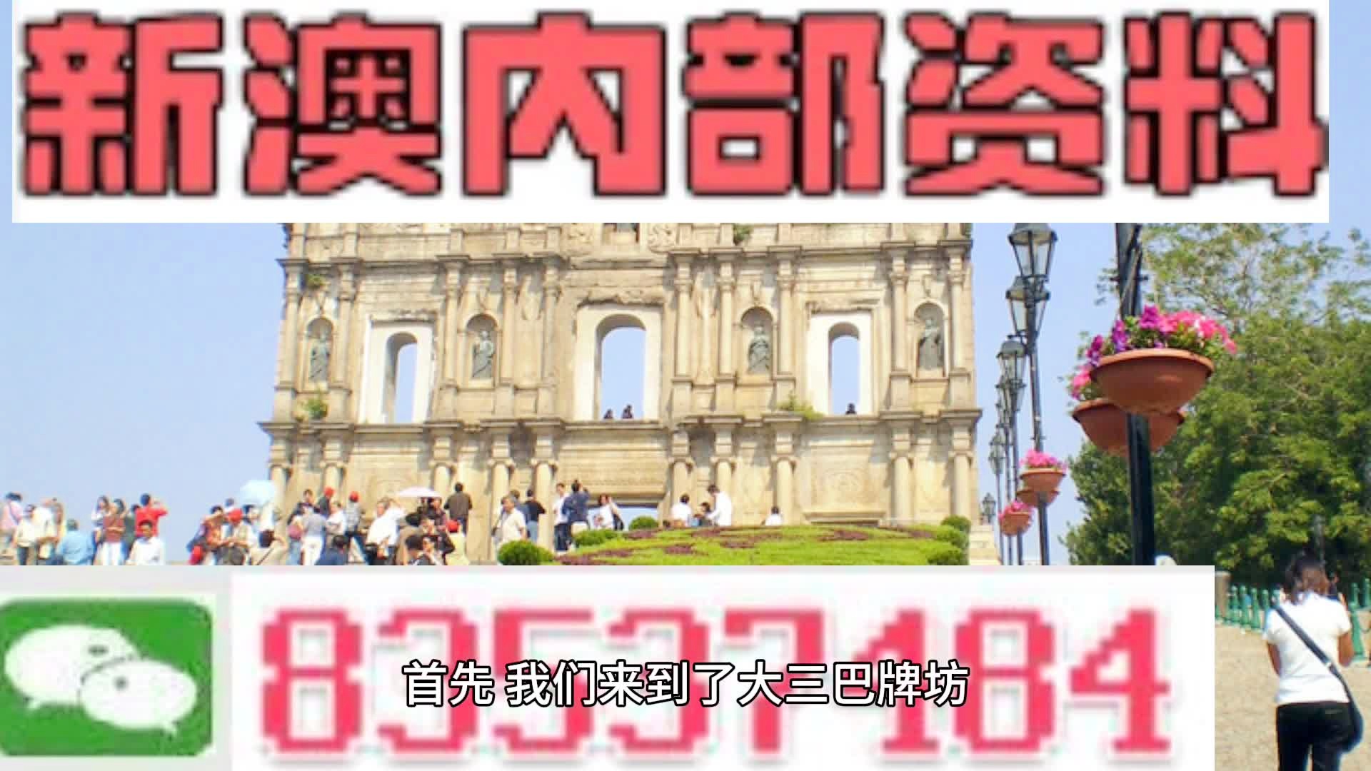 2024新澳最精準資料222期,科學數(shù)據(jù)解讀分析_NZV10.345線上版