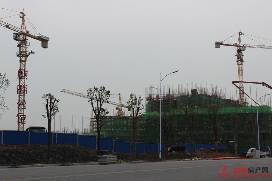 池州麒麟公館最新動態(tài)揭秘，最新進展與資訊更新