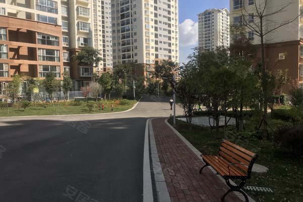 建禮家園最新動(dòng)態(tài)，小巷中的隱藏瑰寶揭秘