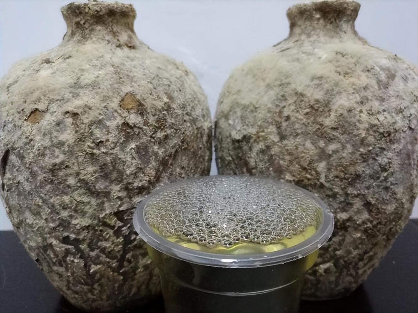 仁懷房屋出售最新信息，科技與家居融合，未來家居新體驗重磅推出