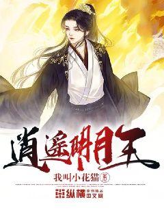 時(shí)代之光下的璀璨篇章，明月珰最新連載熱議熱議熱議！