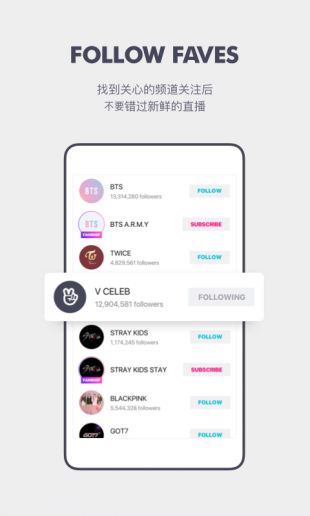 VAPP最新版下載，觀點(diǎn)論述與獲取渠道