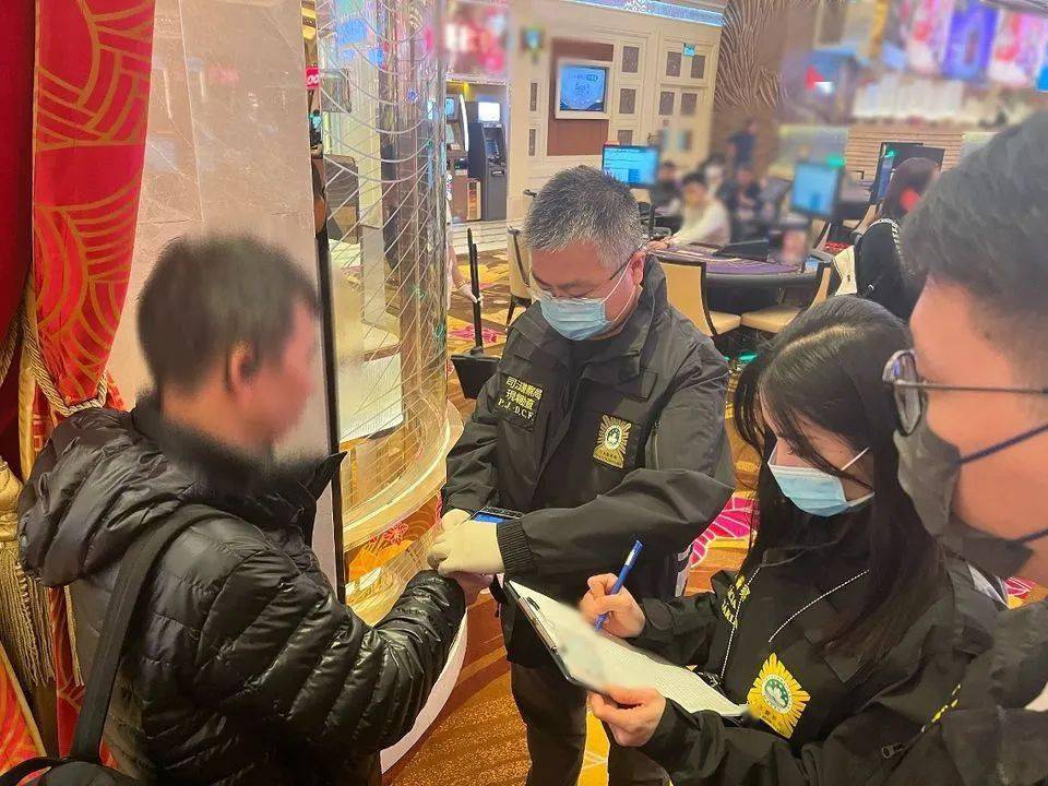 新澳門(mén)一肖一碼精準(zhǔn)資料公開(kāi),社會(huì)承擔(dān)實(shí)踐戰(zhàn)略_XRF83.344旅行助手版