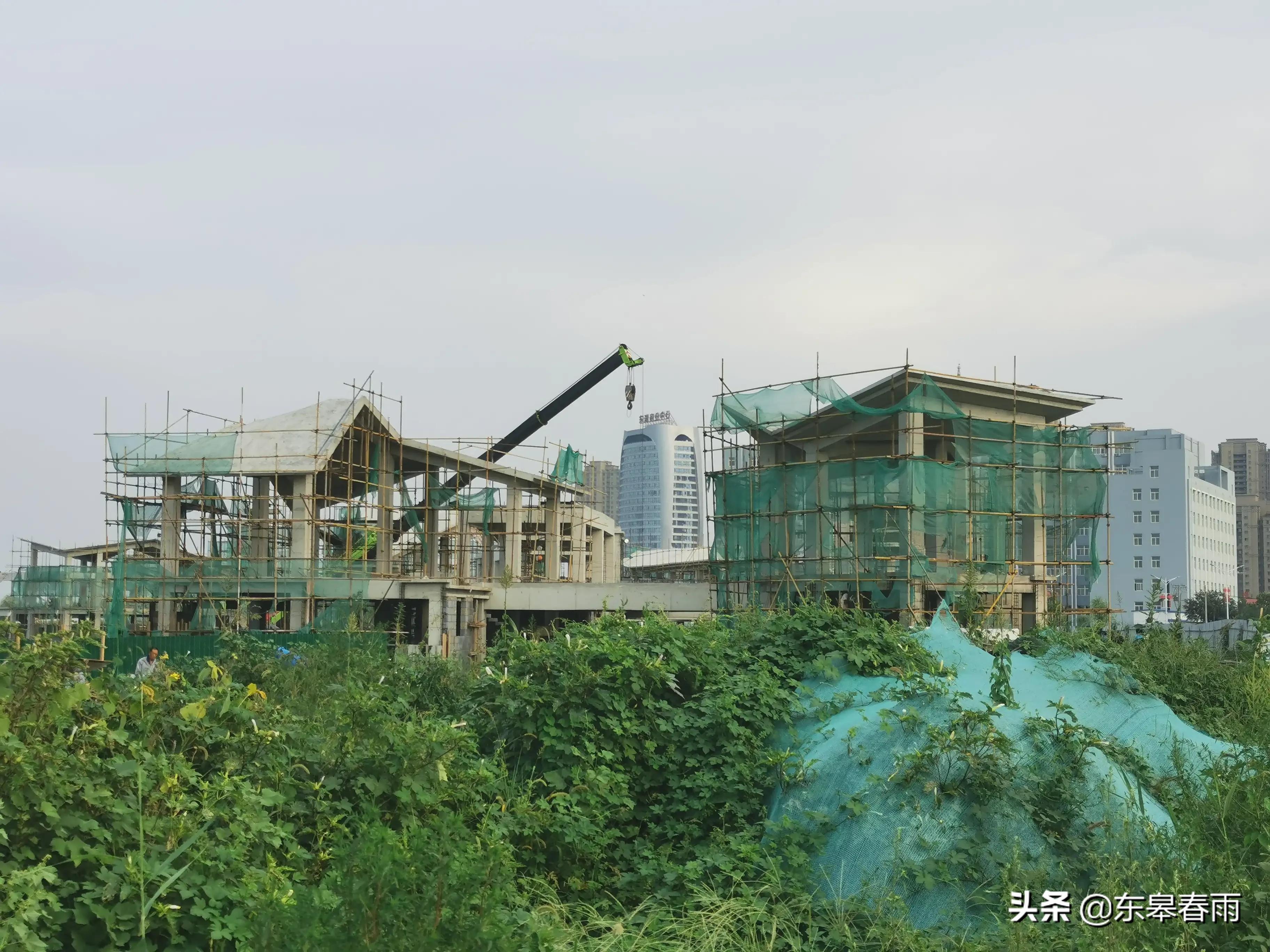 保定東湖一號最新動態(tài)與歡樂日常體驗