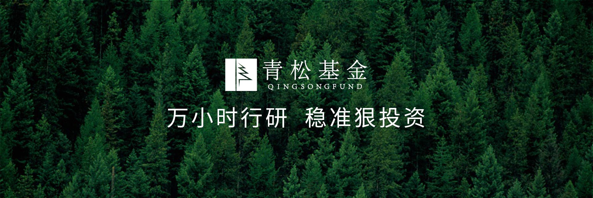 長(zhǎng)青樹(shù)眾籌最新動(dòng)態(tài)，背景、發(fā)展與時(shí)代地位探索