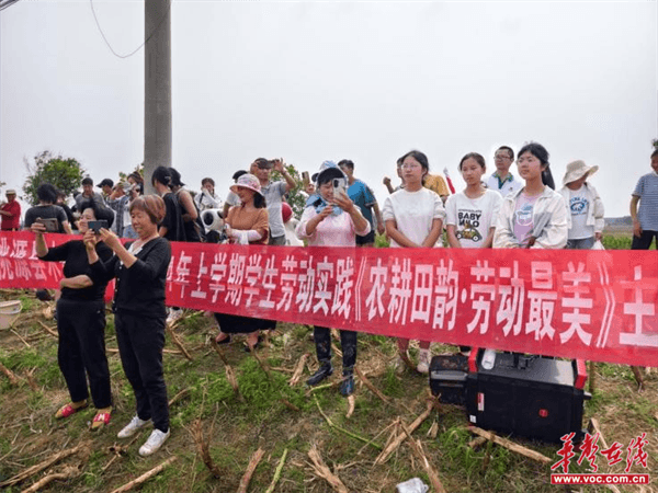 桃源木塘垸鄉(xiāng)新動(dòng)態(tài)，趣事連連，真摯友情綻放鄉(xiāng)間