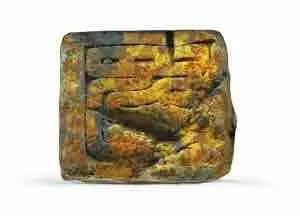 余厚蜀最新動態(tài)，科技前沿探索與行業(yè)創(chuàng)新引領(lǐng)