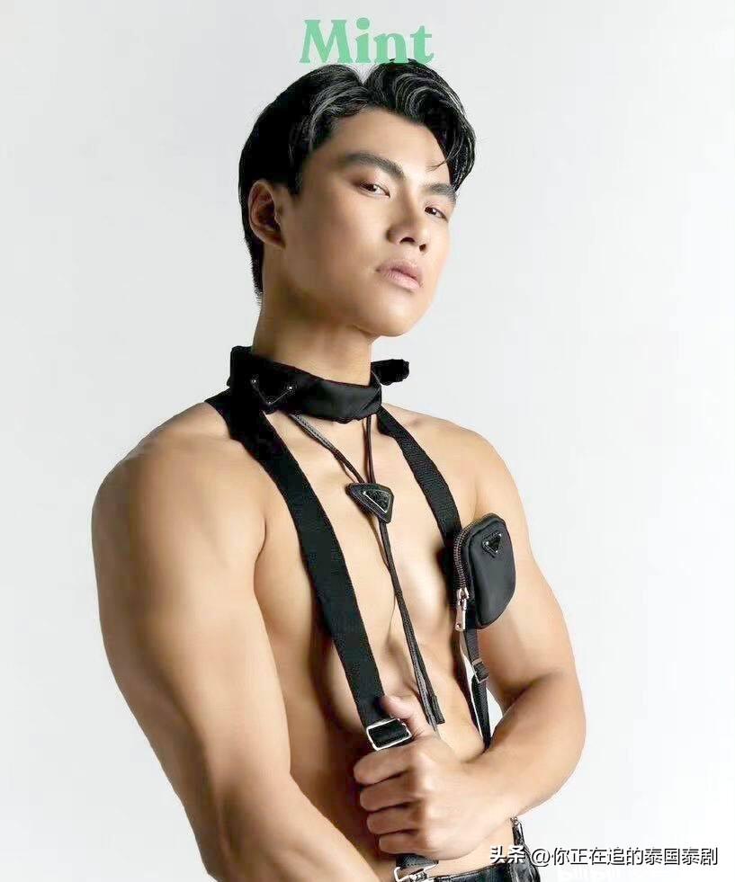 陳立波APO最新技術(shù)成果獲取及應用步驟指南