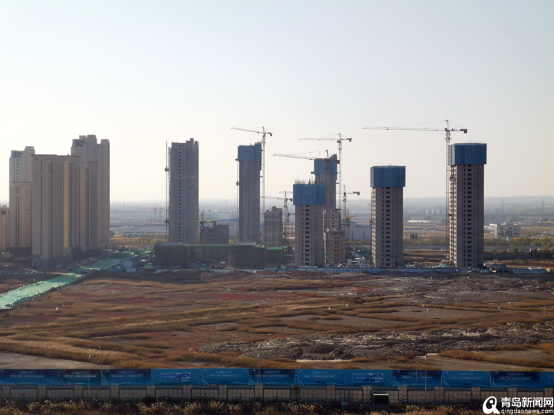 青島最新項目啟航新征程，自信成就夢想之路