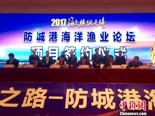 防誠(chéng)港最新,防誠(chéng)港的最新發(fā)展，機(jī)遇與挑戰(zhàn)并存