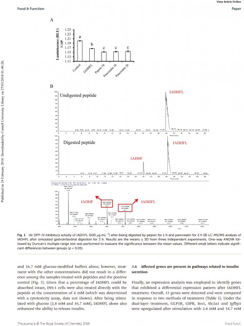糖肽最新文獻，自然之旅的心靈探尋之旅，尋找內(nèi)心的寧靜
