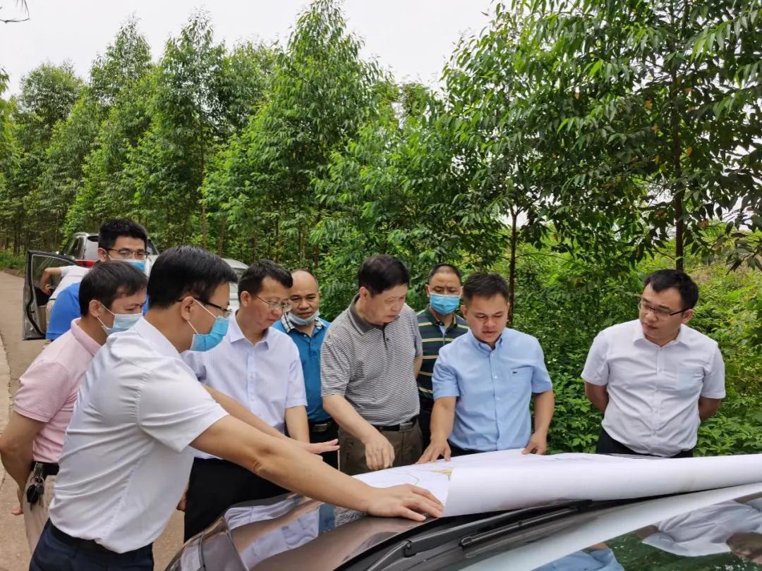 南寧龍象谷最新資訊，游玩指南與技能學(xué)習(xí)步驟全解析