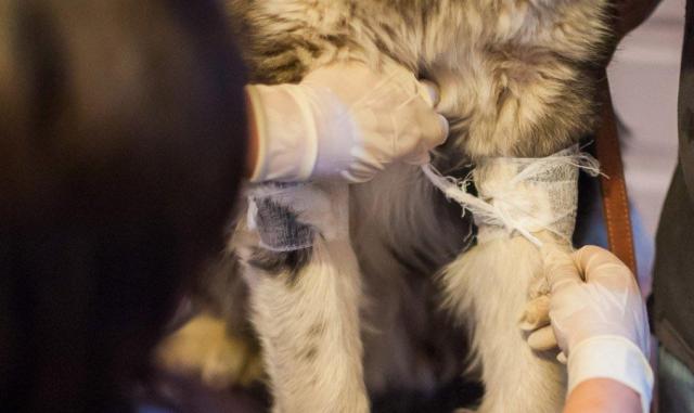 蘇州近期街邊情況，自然美景的心靈之旅體驗(yàn)紀(jì)實(shí)