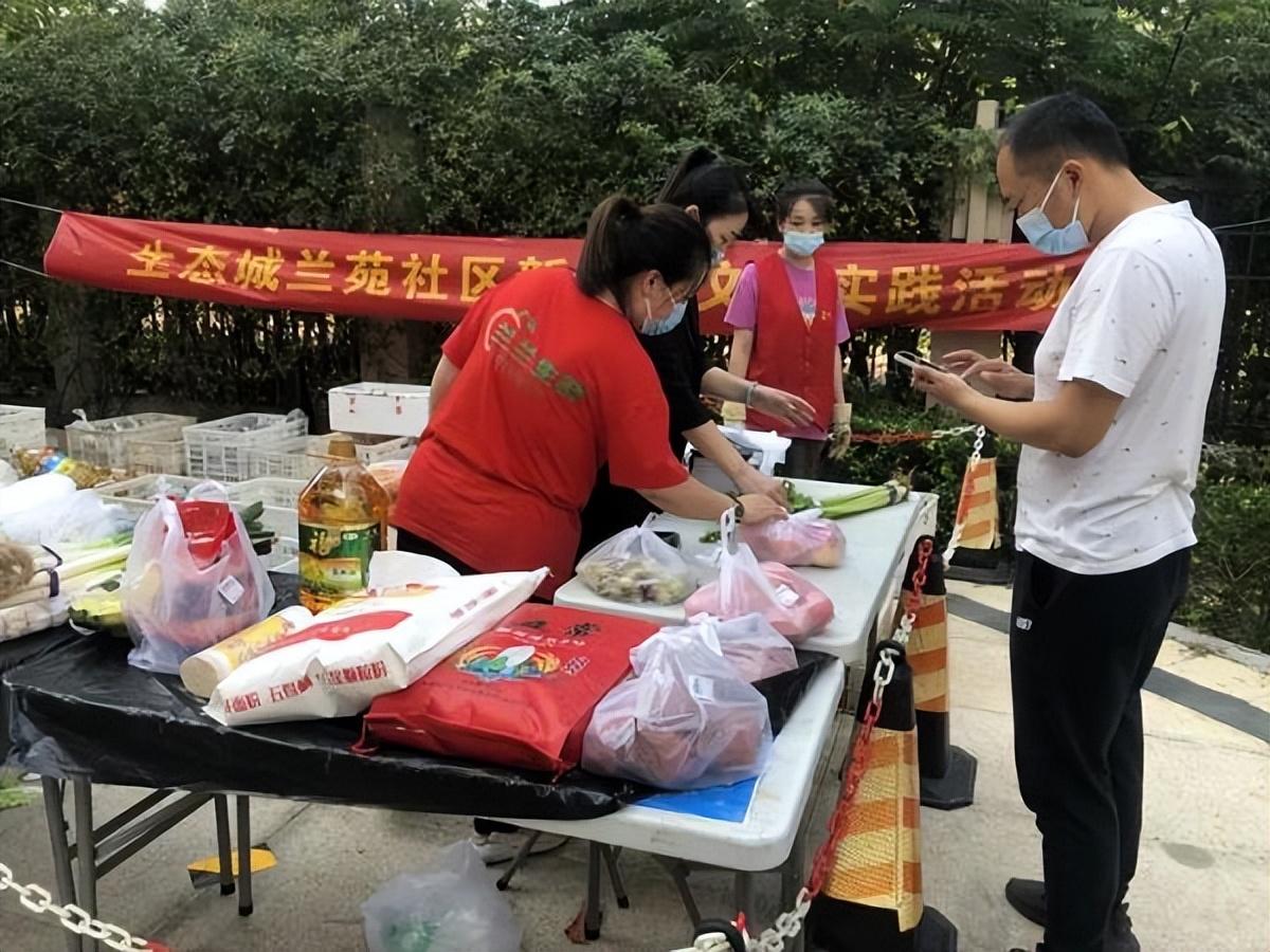 保利華潤紫云價格深度解析，探尋背后的故事與地位影響