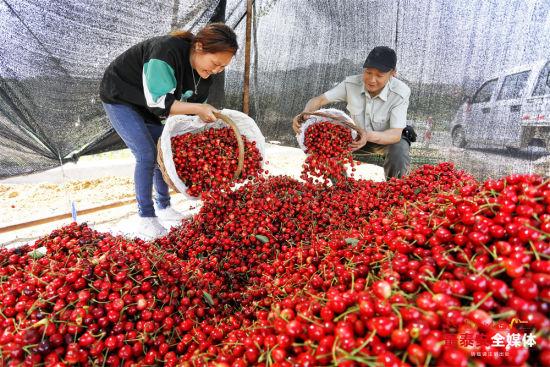 燈飾燈具 第209頁