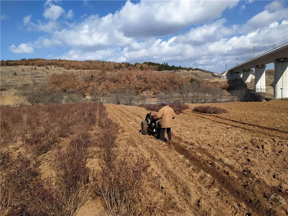 揭秘衡陽張家山規(guī)劃更新，小巷風情與隱藏小店的獨特魅力