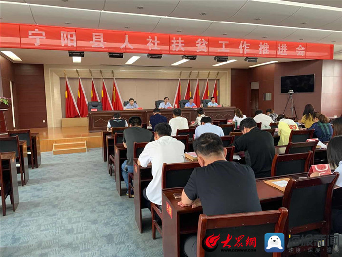 寧陽網(wǎng)最新資訊，城市中的溫情日常