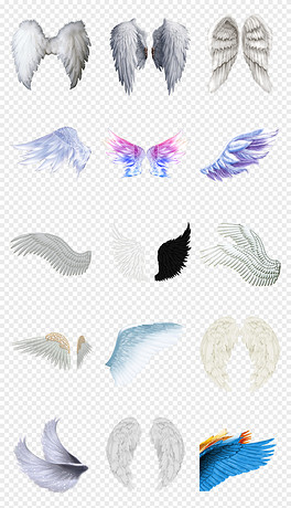 動(dòng)漫翅膀繪制指南，從白紙起步，繪出飛翔的勵(lì)志翅膀！