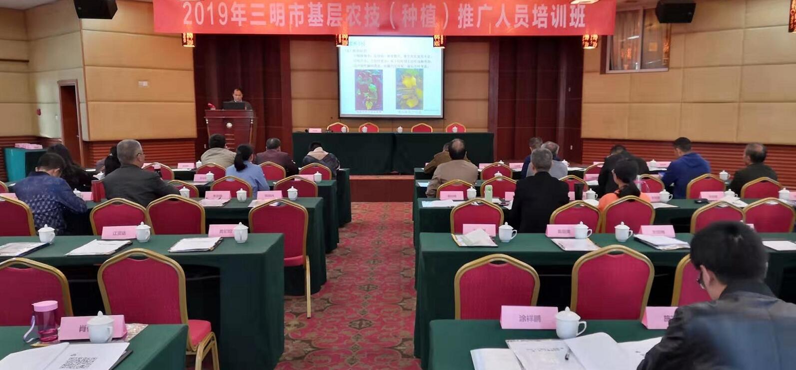 豇豆最新，廚房中的友情與家的溫馨