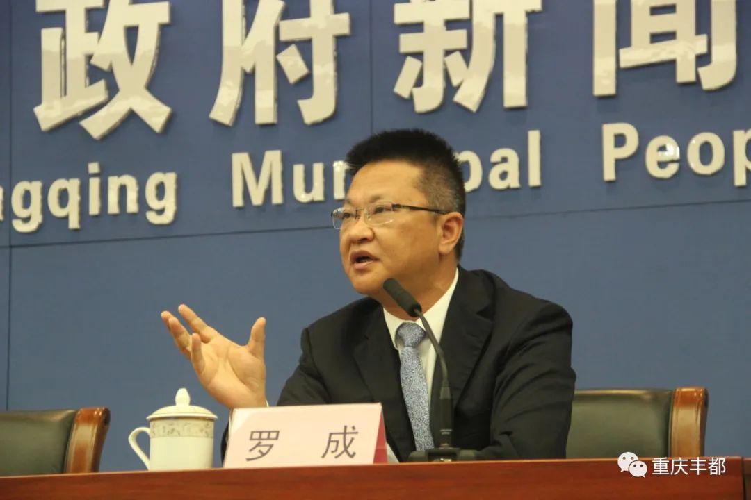 豐都新聞快訊，日常溫情與陪伴的瞬間