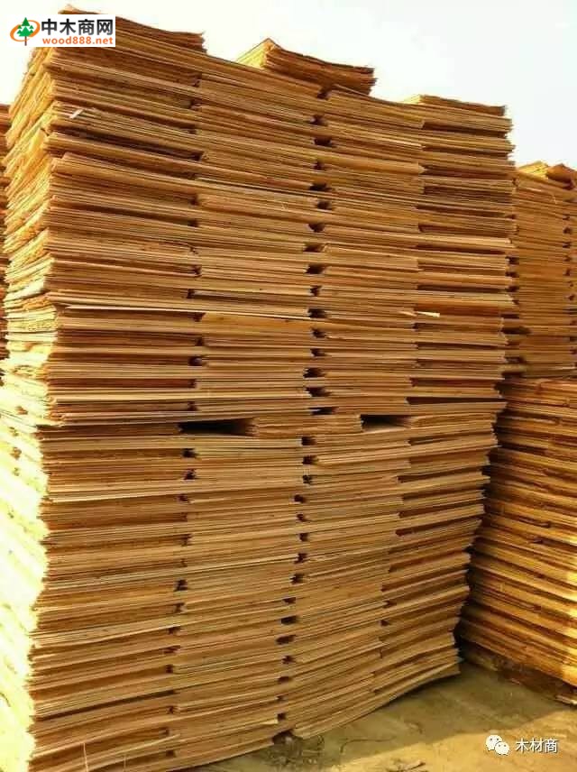 科技革新引領(lǐng)板皮廠(chǎng)行情，開(kāi)啟板材加工新時(shí)代