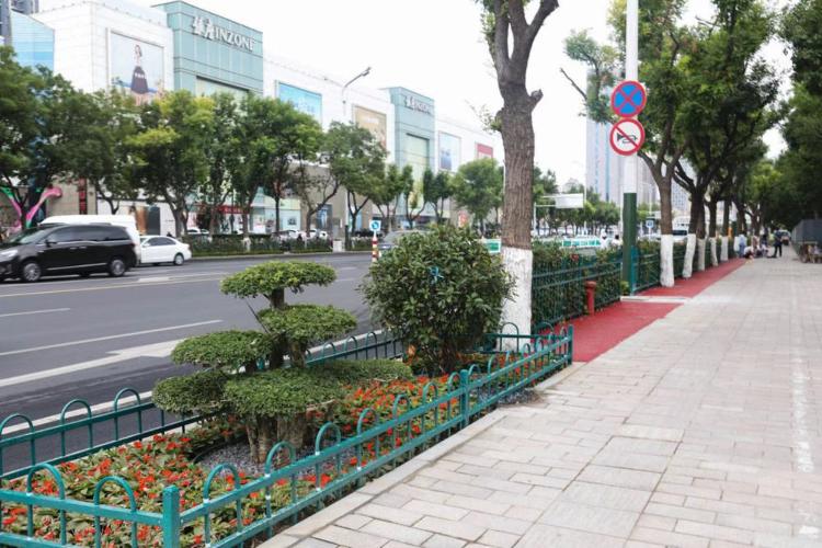 濰坊市奎文區(qū)改造工程，自然美景的探索之旅