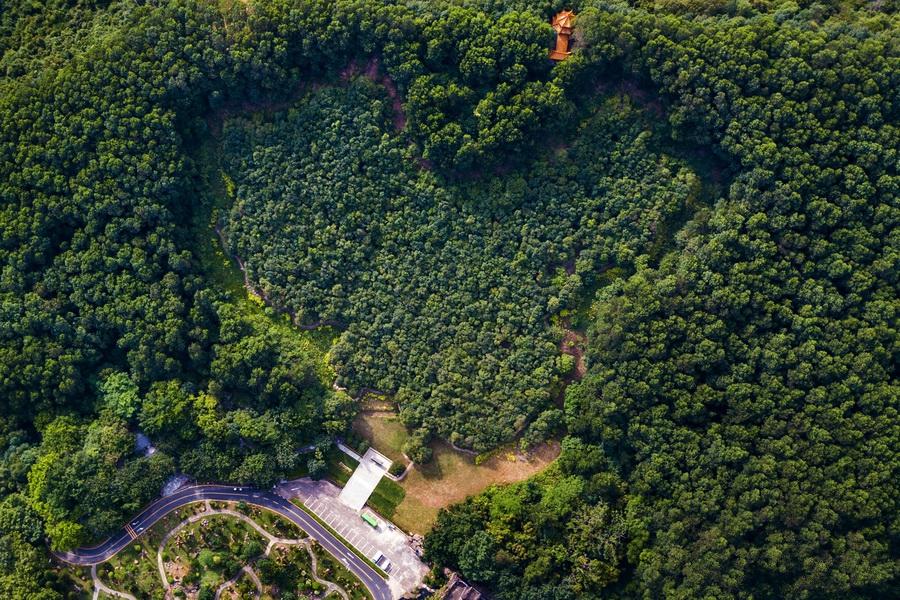 香港演員林，溫馨日常的點(diǎn)滴記錄