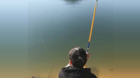 楊柏文最新垂釣視頻，從初學(xué)者到進(jìn)階用戶的技能提升指南