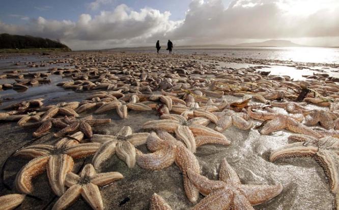 死亡擱淺電影，小巷深處的獨特觀影之旅