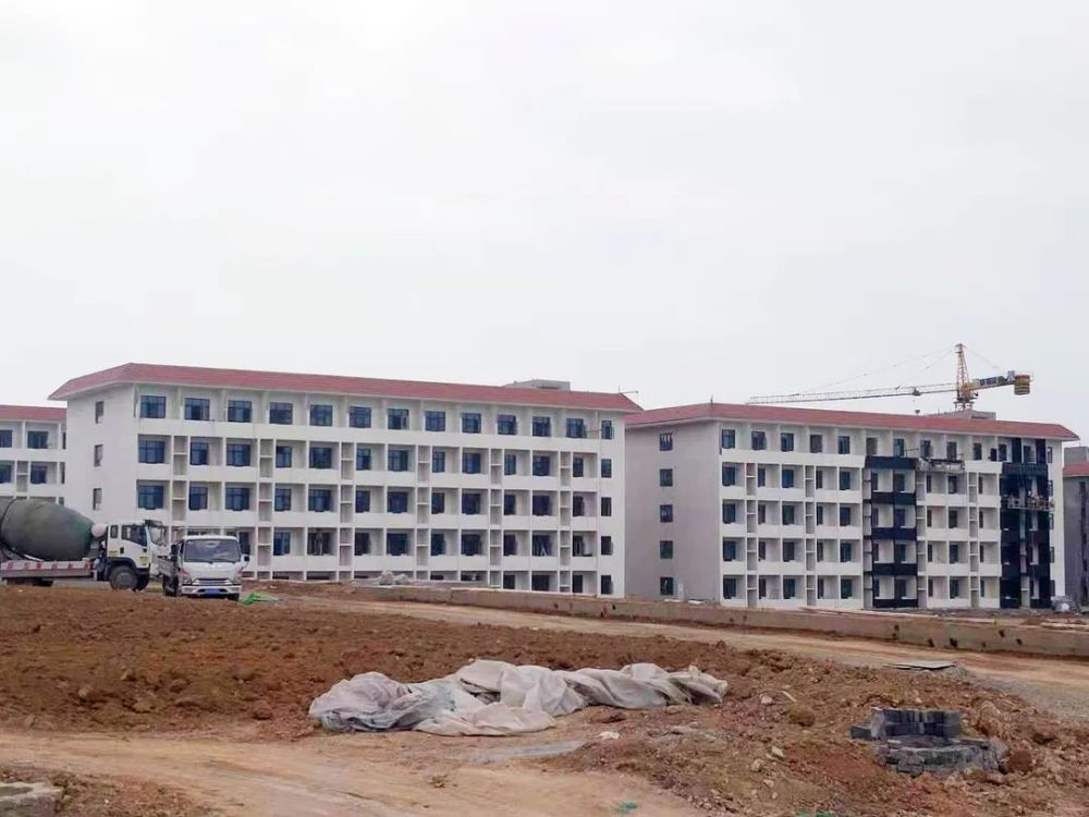 甘谷新聞，大石車禍最新進(jìn)展及觀點(diǎn)論述深度解析