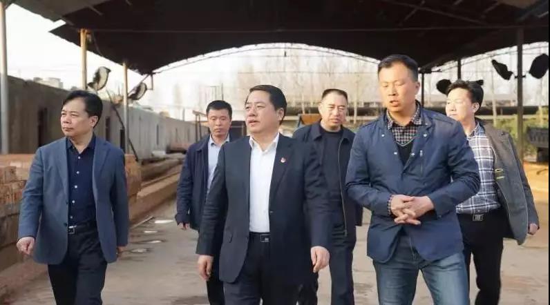 商丘王仲田最新動態(tài)，探索自然美景的旅行，尋求內(nèi)心平和之旅