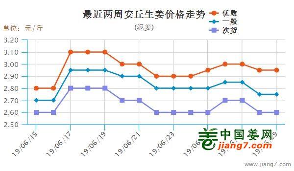 安丘大姜最新行情，機(jī)遇與自我超越的探尋之旅
