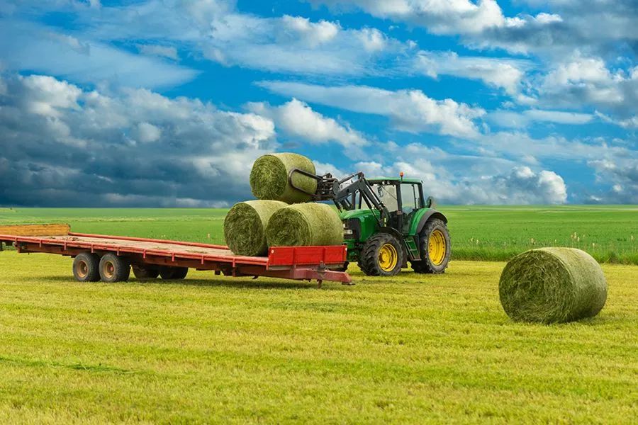 農(nóng)業(yè)最新動(dòng)態(tài)，時(shí)代的脈搏與綠色希望共舞