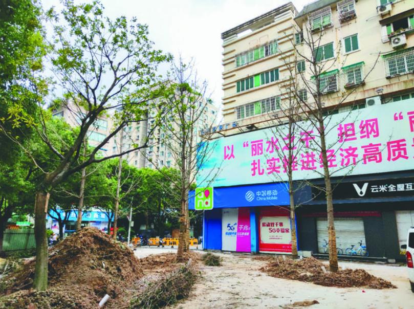 最新吊車網(wǎng)，自然美景之旅與內(nèi)心平靜的探尋