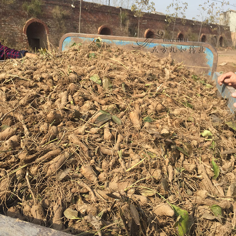 運(yùn)動場館燈具 第140頁