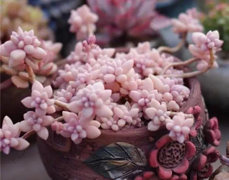 廣場(chǎng)燈具 第125頁