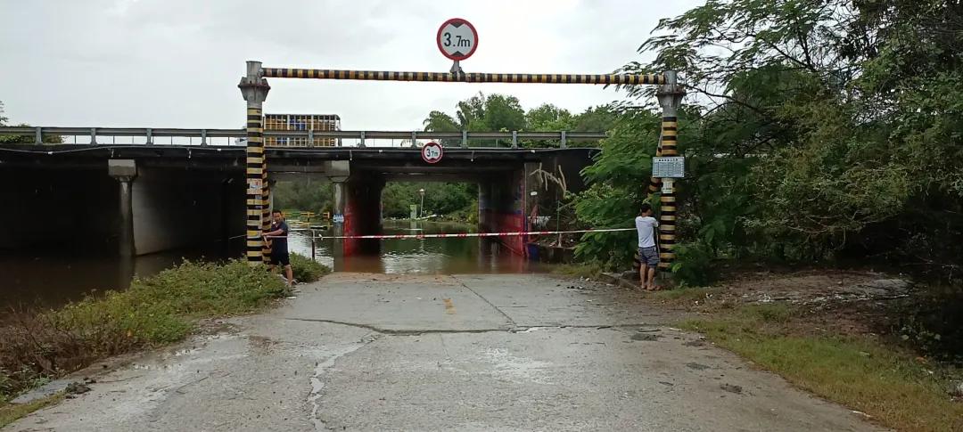 惠陽臺(tái)風(fēng)最新消息，小巷深處的風(fēng)味秘境