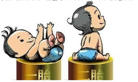 最新雙胞胎補(bǔ)助政策，攜手同行，助力孕育夢想之路