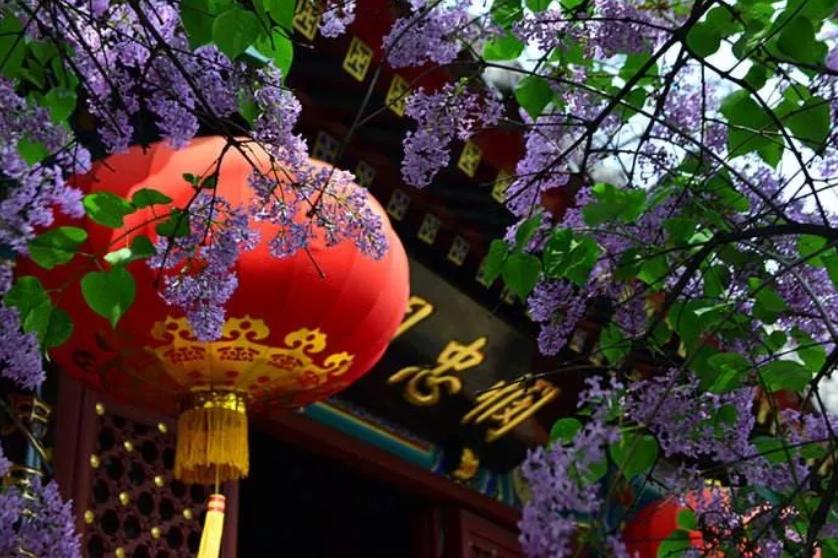 菜市口騰退最新動態(tài)與步驟指南