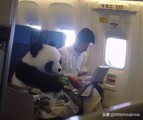 追逐變化之翼，學(xué)習(xí)鑄就自信與成就——虛幻最新探討