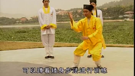 太極最新音樂，傳統(tǒng)與現(xiàn)代的完美融合藝術(shù)展現(xiàn)