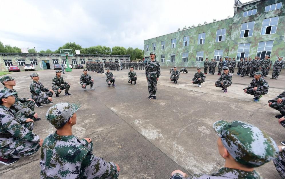遼寧人才網(wǎng)最新招聘，時代脈搏與人才匯聚的交匯點