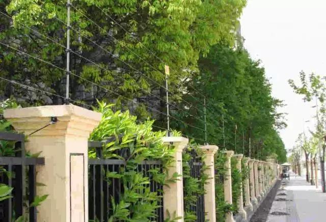 山河藥輔最新動(dòng)態(tài)，引領(lǐng)醫(yī)藥行業(yè)新篇章