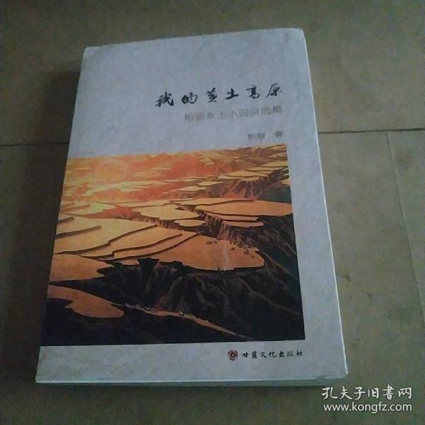 時代背景下的鄉(xiāng)土情懷與文學地位，最新鄉(xiāng)土小說探析