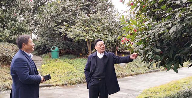 最新花木求購，開啟一場(chǎng)尋綠之旅的溫馨旅程