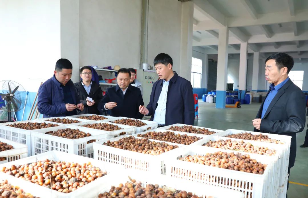 建寧最新新聞，城市溫馨日常與友情力量的展現(xiàn)