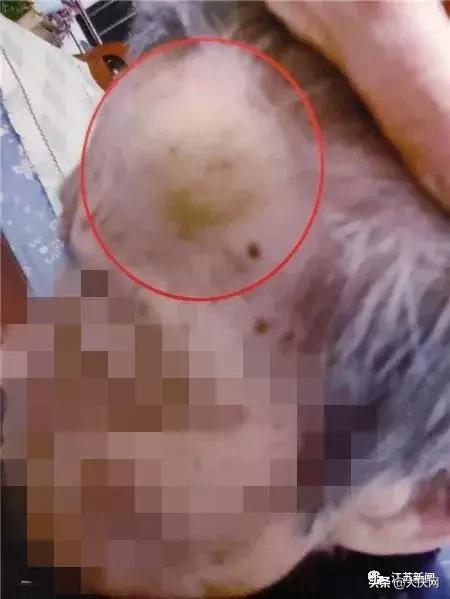 揪脖子最新視頻，探秘小巷風(fēng)情小店，獨(dú)家揭秘！