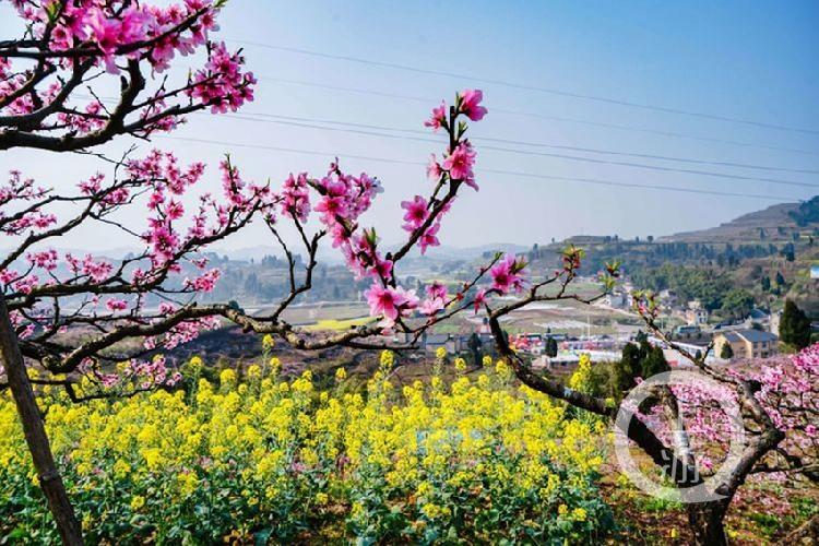 合川最新科技新聞，高科技產(chǎn)品引領未來生活潮流