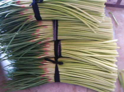 運(yùn)動場館燈具 第101頁