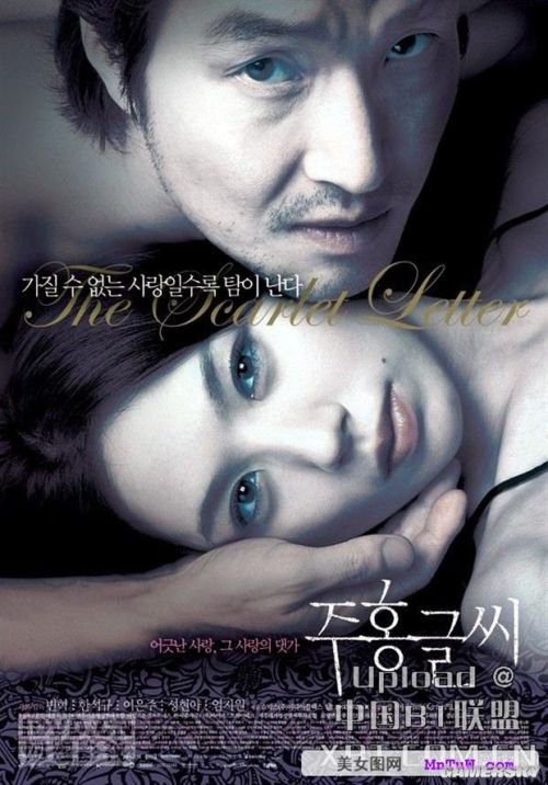 最新內(nèi)地倫理電影探索與啟示，揭示社會(huì)倫理的啟示與價(jià)值